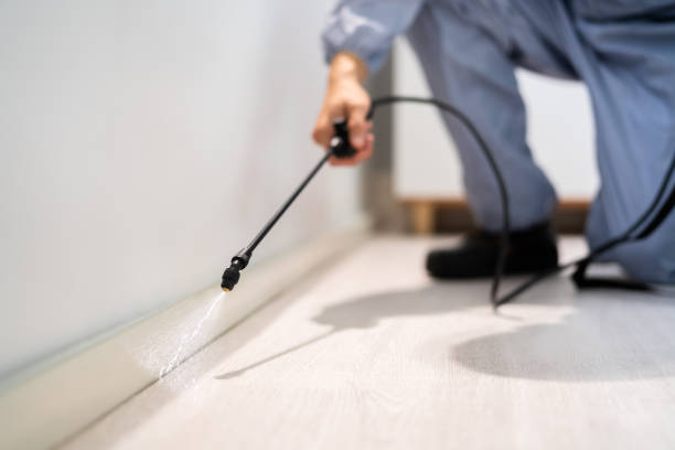 Licensed Pest Control service in Sacramento, CA - Show Me Pest Control
