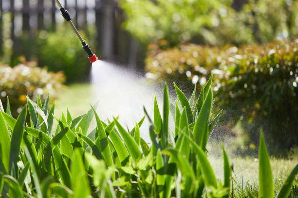 Tamper-Resistant Bait Stations for Rodents in Sacramento