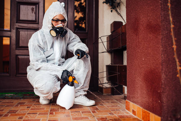 Attic and Crawl Space Rodent Treatment in Sacramento