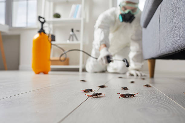 Commercial Rodent Management in Sacramento